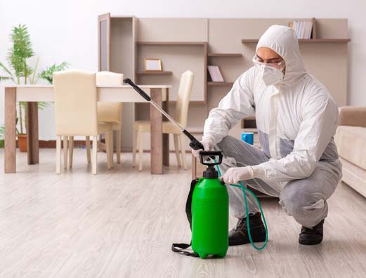 pest control cleaning