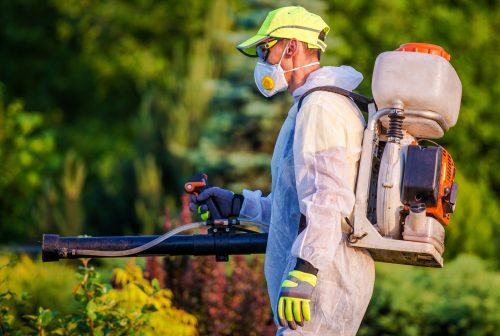 Garden,Pest,Control,Services.,Men,With,Gasoline,Pest,Control,Spraying