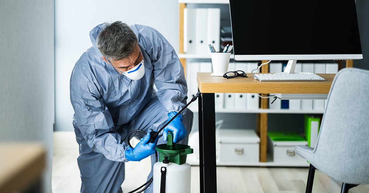 The Basic Requirements For Successful Pest Control