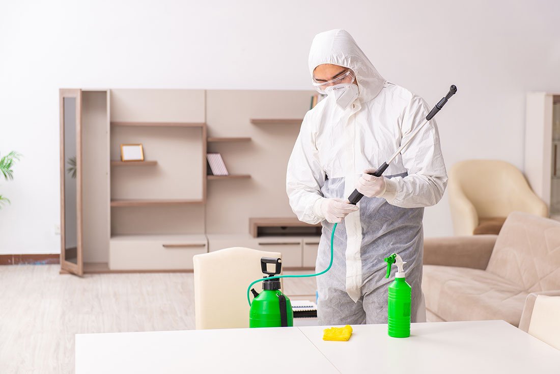 Pest control and inspections