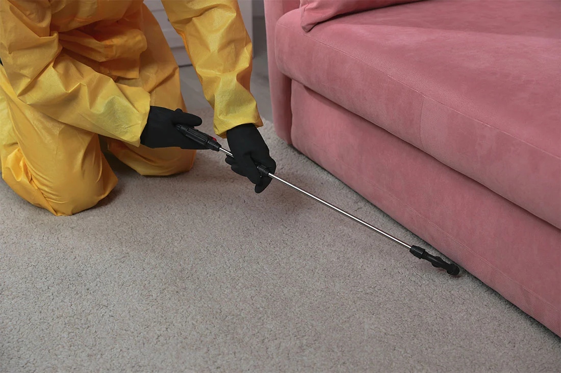 signs you need to get cloth moth pest control