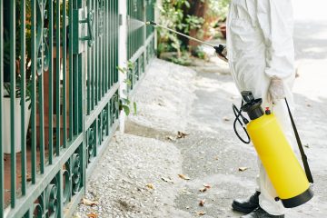 pest control services guide