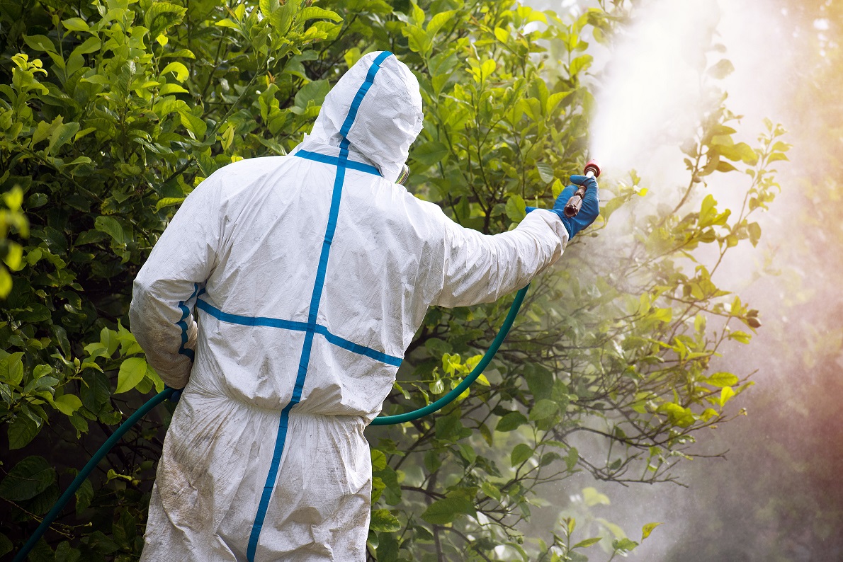 pest control