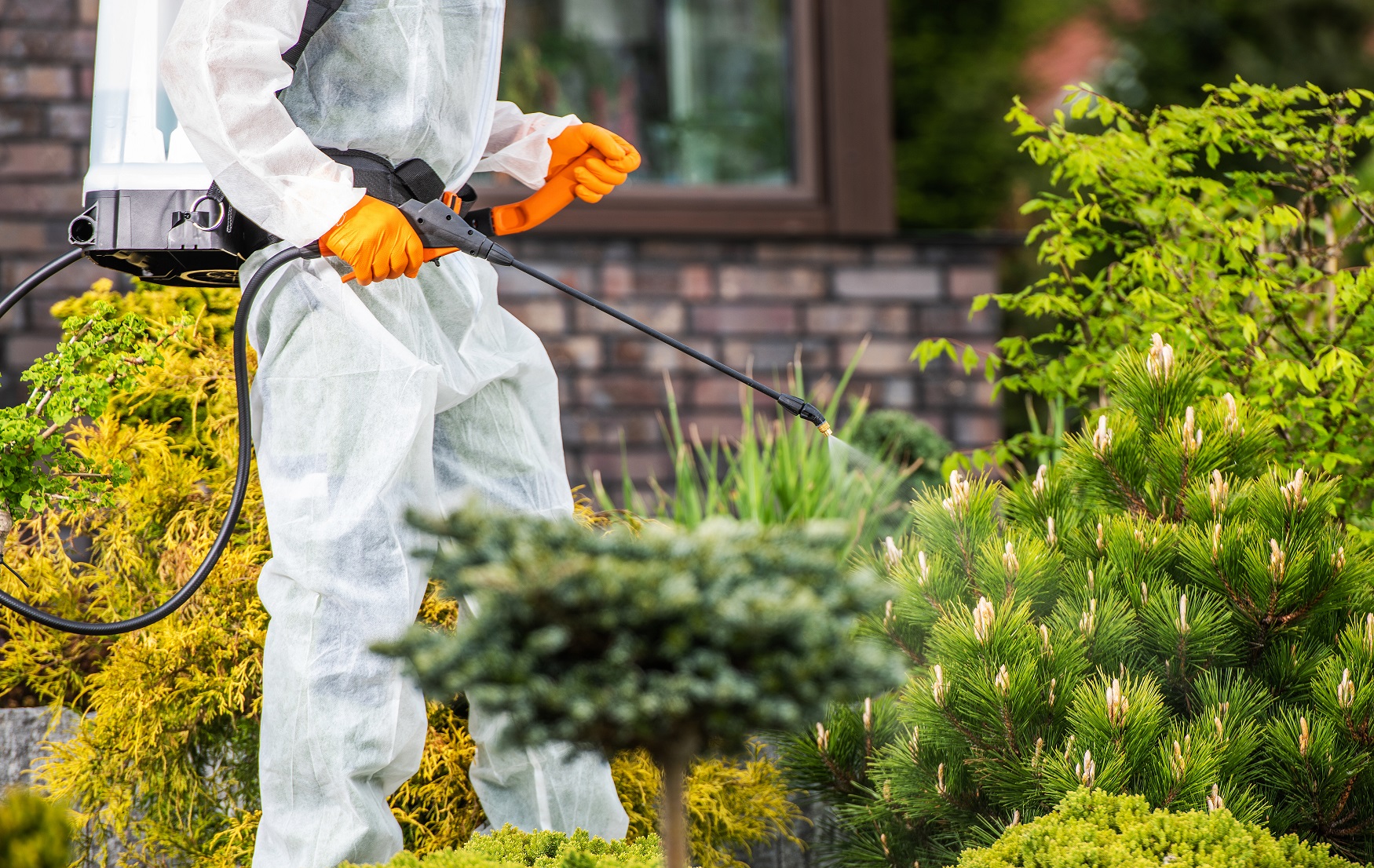 pest control