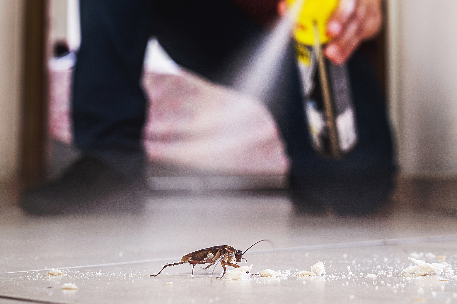 pest control